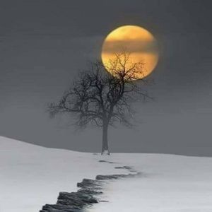 Meet your Posher, Candy